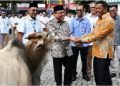 Perumda AM Padang Tebar Kebaikan dengan Puluhan Hewan Kurban dan Bantuan Mobil Tangki Air