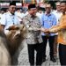 Perumda AM Padang Tebar Kebaikan dengan Puluhan Hewan Kurban dan Bantuan Mobil Tangki Air
