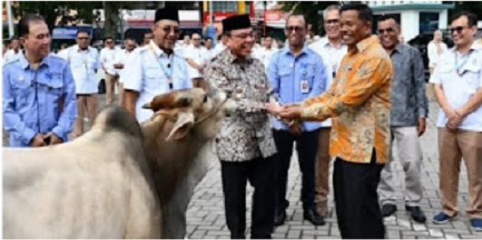 Perumda AM Padang Tebar Kebaikan dengan Puluhan Hewan Kurban dan Bantuan Mobil Tangki Air