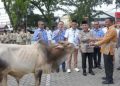 Bantuan Hewan Kurban Kepada Masjid dan Mushala Disalurkan Perumda AM Padang