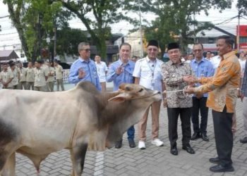 Bantuan Hewan Kurban Kepada Masjid dan Mushala Disalurkan Perumda AM Padang
