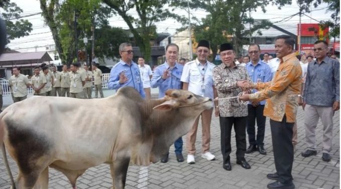 Bantuan Hewan Kurban Kepada Masjid dan Mushala Disalurkan Perumda AM Padang